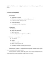 Referāts 'SIA "Hotel Tigra"', 5.