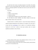 Referāts 'SIA "Hotel Tigra"', 11.