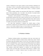 Referāts 'SIA "Hotel Tigra"', 13.