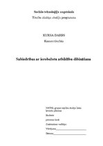 Referāts 'Sabiedrības ar ierobežotu atbildību dibināšna', 1.