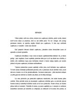 Referāts 'Sabiedrības ar ierobežotu atbildību dibināšna', 3.