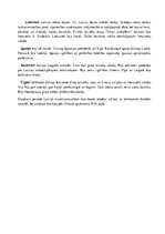 Konspekts 'Mazākumtautības Latvijā', 2.