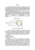 Referāts 'Optika un apgaismojums', 8.