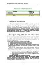 Biznesa plāns 'Specializētais valsts sociālās aprūpes centrs "Jelgava"', 8.