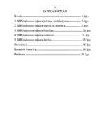 Referāts 'LR uzņēmumu reģistra loma komerctiesībās', 1.