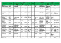 Konspekts 'Stiebrzāļu ārējais izskats', 1.