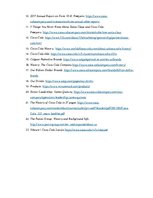 Referāts '"The Coca-Cola Company" starptautiskās preču mix stratēģijas', 19.