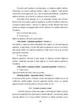 Diplomdarbs 'Uzņēmuma finanšu analīze', 20.