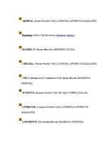 Referāts 'Futbols pasaulē', 12.