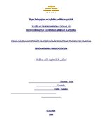 Referāts 'Vadības stilu izpēte', 1.