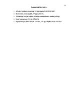 Referāts 'Vadības stilu izpēte', 9.