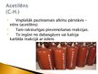 Prezentācija 'Alkīni', 9.