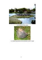 Referāts 'Eksperimentālā arheoloģija Latvijā', 13.