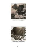 Referāts 'Eksperimentālā arheoloģija Latvijā', 14.