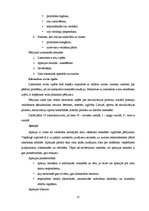 Diplomdarbs 'Sociālo prasmju veidošanās sākumskolas bērniem sporta nodarbībās', 37.