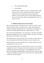 Referāts 'Izplatītākās futbola traumas un to profilakse', 13.