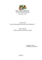 Referāts 'Autobusu darba organizācija starppilsētu maršrutā "Rīga - Bauska"', 1.
