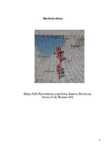 Referāts 'Autobusu darba organizācija starppilsētu maršrutā "Rīga - Bauska"', 4.