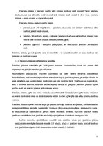 Referāts 'Autobusu darba organizācija starppilsētu maršrutā "Rīga - Bauska"', 10.