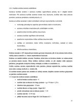 Referāts 'Autobusu darba organizācija starppilsētu maršrutā "Rīga - Bauska"', 17.