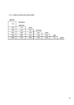 Referāts 'Autobusu darba organizācija starppilsētu maršrutā "Rīga - Bauska"', 23.