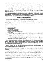 Referāts 'Autobusu darba organizācija starppilsētu maršrutā "Rīga - Bauska"', 29.