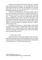 Referāts 'Naftas produkcijas dzīves cikls', 12.