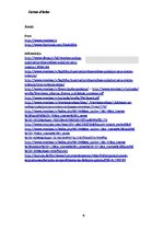 Referāts 'Austrumlatvijas radošo pakalpojumu centrs "Zeimuļs"', 9.