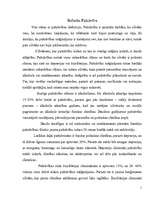 Konspekts 'Pašnāvība', 1.