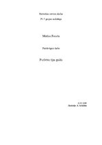 Referāts 'Furšetes tipa galds', 1.