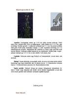 Referāts 'Pārejas purvs', 11.