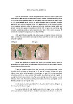 Konspekts 'Arāla jūra un tās problēmas', 1.
