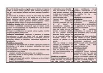 Referāts 'Kriminālprocesa tabula', 3.