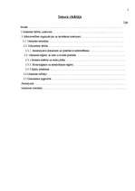 Referāts 'Grāmatvedības uzskaite', 2.