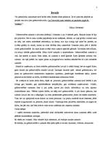 Referāts 'Grāmatvedības uzskaite', 3.