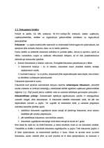 Referāts 'Grāmatvedības uzskaite', 9.