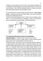 Referāts 'Grāmatvedības uzskaite', 10.