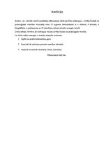 Referāts 'Reitterapija', 2.
