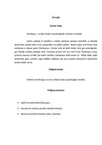 Referāts 'Reitterapija', 5.