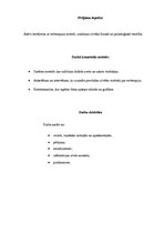 Referāts 'Reitterapija', 6.