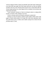 Referāts 'Reitterapija', 12.