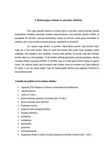 Referāts 'Reitterapija', 13.
