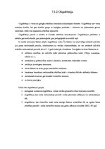Referāts 'Reitterapija', 19.
