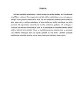 Referāts 'Reitterapija', 26.