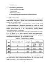 Referāts 'SIA "Orange Travel" (tūrisma aģentūra) biznesa plāns', 6.