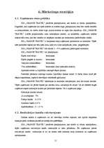 Referāts 'SIA "Orange Travel" (tūrisma aģentūra) biznesa plāns', 21.