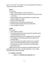 Referāts 'SIA "Orange Travel" (tūrisma aģentūra) biznesa plāns', 33.