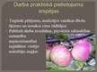 Referāts 'Reducējošo cukuru un pektīnu saturs Talsu novada augļkopju audzētajos ābolos', 49.