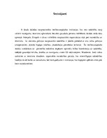 Referāts 'Policijas un krimināltiesiskā starpvalstu sadarbība', 11.